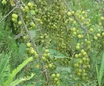 海南，热带风情与人文魅力深度解析