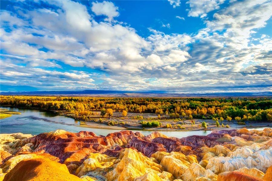 新疆之韵，探索独特文化与风情